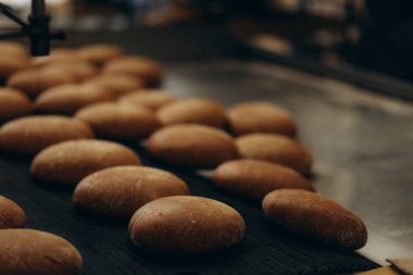 Fırından taze çörek. Konveyör ile ekmek. Ekmek pişirme. Atölye ekmek yapımı için. Beyaz ekmek fırında. Sıcak buns. Şekerlemeler.