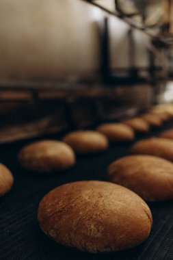 Şekerleme fabrikası atölyesindeki konveyör bandı ekipman makinelerinde tatlı kurabiyelerle otomatik fırın üretim hattı, endüstriyel gıda üretimi