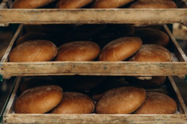 Farklı şekillerde ve baget raflara yerleştirilmiş çeşitli taze ekmek somunları hafif stüdyonun ahşap arka planına karşı