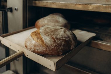 Fırının yakınında fırından fırın ekmeği fırın fabrikasında ahşap kabuklu ekmek çıkıyor. Fransız ekmeği fırını konsepti.