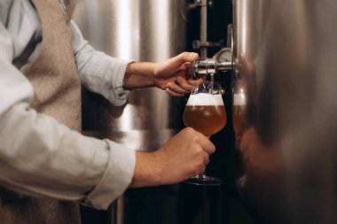 Üretim tesisinde bira tatma ustası. Küçük aile işletmesi, el yapımı bira üretimi..