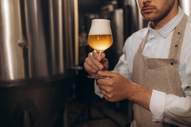 El yapımı biranın kontrol kalitesi, önlük konusunda uzman bira üreticisi cam tutuyor ve renkleri kontrol ediyor. İşçi sommelierler bira fabrikasında içkinin tadını alırlar..