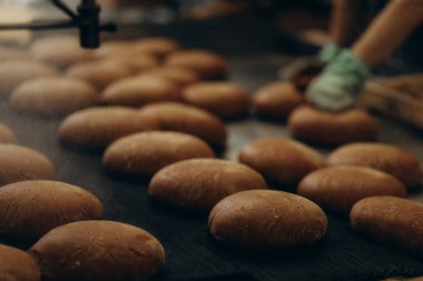 Taze ve lezzetli ekmek ruloları için endüstriyel üretim hattı.