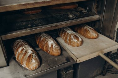 Fırıncı pişmiş fırını fırından çıkarır..