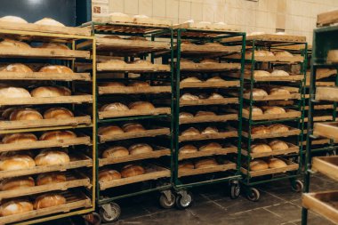 Taze pişmiş ekmek paketlenip gönderilmeyi bekliyor.