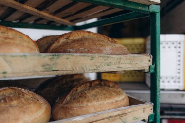 Otomatik bir konveyördeki fırında somun ekmek. Fırın ürünleri