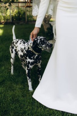 Gelinin yanındaki bir dolmayanın portresi. Bir evcil hayvan