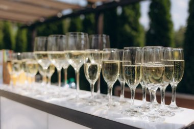 Şampanya dolu kristal berraklığında bir sıra dışarıda güzelce düzenlenmiş güneş ışığı kabarcıkları aydınlatıyor. Kutlamalar, düğünler ya da zarif bir ortamda süslü toplantılar için mükemmel..