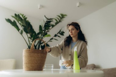 Masada bir ev bitkisiyle ilgilenen genç bir kadın, bakım ve iç dekorasyonu temsil ederken sürdürülebilirlik ve evde sağlıklı bir yaşam sunuyor..