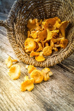 Ahşap masa arkasında sepetin içinde Chanterelle mantarları
