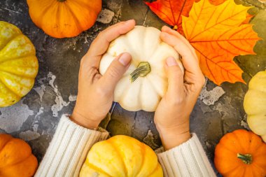 Halloween or thansgiving concept, orange and white pumpkins with hands holding one of pumpkins, top view