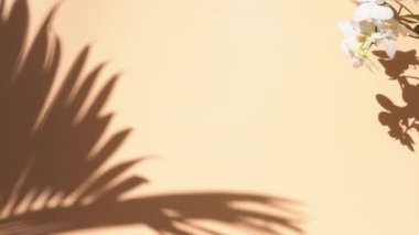 Düz bej arka planda palmiye ve orkide çiçekleri