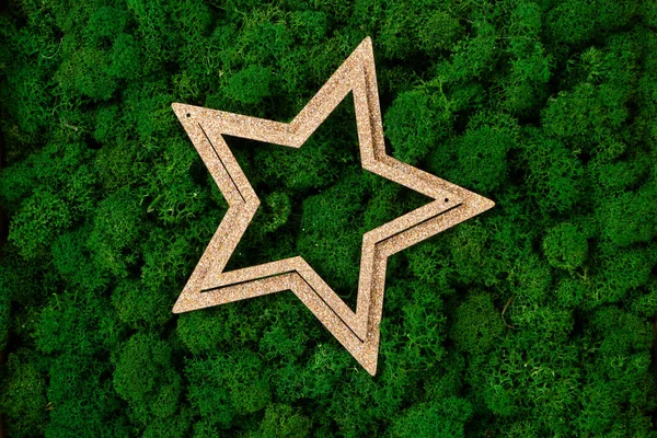 Golden Star Christmas Decoration Green Eco Moss Background — Stock Photo, Image