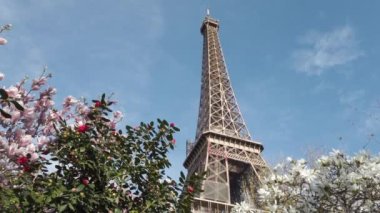 Pembe ve beyaz manolyalı Eyfel Kulesi bahar çiçekleri, Paris, Fransa