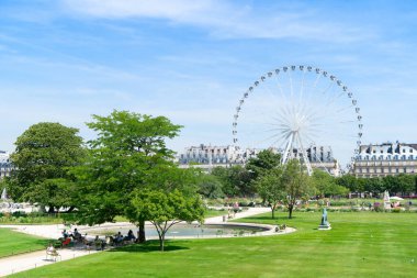 Paris 'te yaz tatili. Louvre Sarayı 'nın önünde feribot tekerli Tuileries bahçeleri, Paris Fransa.