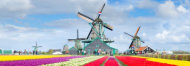 Hollanda 'nın dramatik gökyüzü ile ünlü Zaanse Schans yel değirmeni ile geleneksel Hollanda bahar manzarası