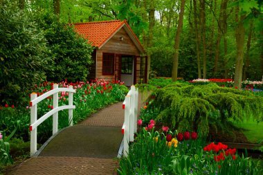 Taş kaldırımlı yürüyüş yolu bahar resmi çiçek bahçesinde dolambaçlı, Hollanda