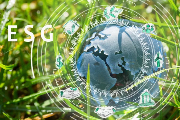 Glass globe in the grass concept for environment protection ans ESG - enviroment, society and governance