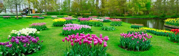 Colourful Tulips Flowerbeds Attractive Formal Garden — Stock Photo, Image
