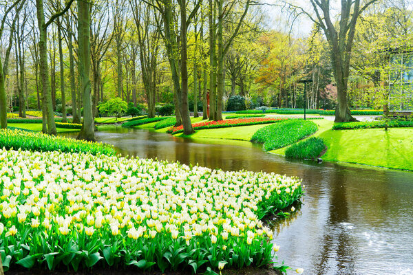 Весенние реки и зеленые клумбы в саду Keukenhof, Нидерланды
