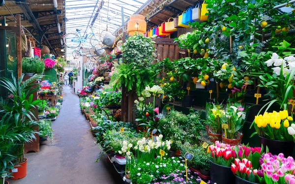 Paris flower market with fresh flowers pots at Cite island, Paris France