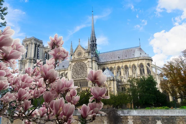 Παναγία Των Παρισίων Εκκλησία Ορόσημο Την Άνοιξη Παρίσι Γαλλία — Φωτογραφία Αρχείου