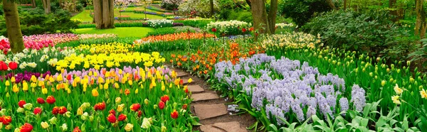 Πολύχρωμες Τουλίπες Παρτέρια Και Πέτρινο Μονοπάτι Έναν Ανοιξιάτικο Επίσημο Κήπο — Φωτογραφία Αρχείου