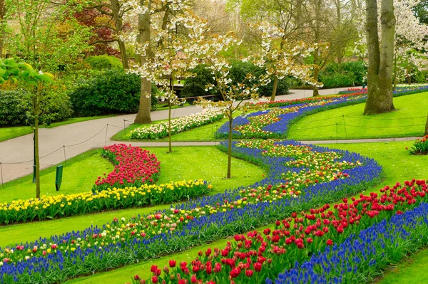 Bunt Blühende Kirschbäume Und Blumenbeete Einem Frühlingshaften Garten — Stockfoto