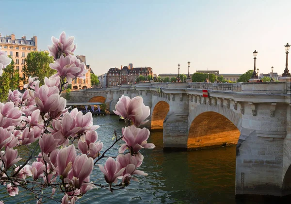 Мост Нёф Закате Солнечной Весны Париж Франция — стоковое фото