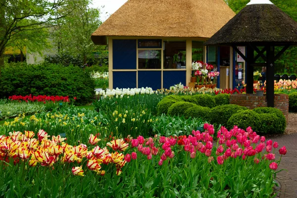 Piedra Pavimentada Camino Sinuoso Primavera Jardín Flores Formal Holanda — Foto de Stock