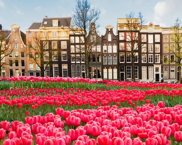 Gevels Van Nederlandse Historische Huizen Met Tulpen Amsterdam Landschap Nederland — Stockfoto