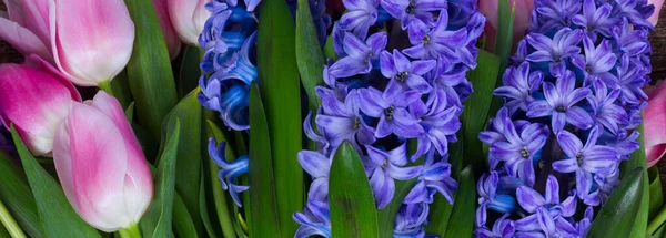 Růžové Tulipány Modré Hyacinty Které Čerstvé Květiny Tmavém Pozadí Dřevěná — Stock fotografie