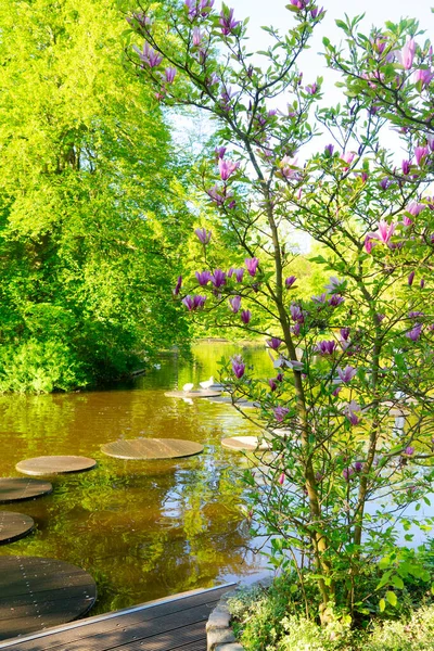 Spring scenery - fresh spring garden with green trees, fresh grass and pond with reflections