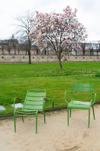 Voorjaarsvakantie Parijs Tuileries Tuinen Met Stoelen Bloeiende Magnolia Boom Parijs — Stockfoto