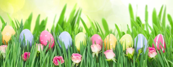 Uova Pasqua Erba Copiare Spazio Sfondo Verde Giardino — Foto Stock