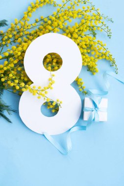 Mimosa sarı çiçekleri mavi bahar arka planında, 8 Mart bayram arka planında, mimoz uluslararası kadınlar için geleneksel çiçeklerdir 8 Mart