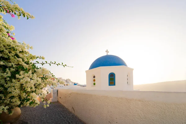 Tradiční Řecká Vesnice Oia Santorini Modrou Kopulí Květinami Proti Moři — Stock fotografie