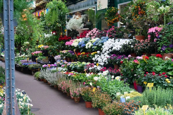 Παρίσι Ανθοπωλείο Φρέσκα Λουλούδια Γλάστρες Στο Νησί Cite Παρίσι Γαλλία — Φωτογραφία Αρχείου
