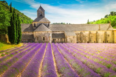 Abbey Senanque binası ve çiçek açan lavanta tarlası, Fransa
