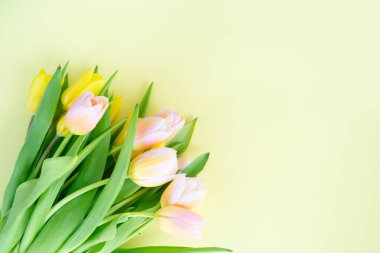 Taze laleli Paskalya sahnesi, kopyalama alanı