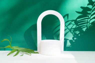 Palmiye yaprakları ve gölge örtülü koyu yeşil arka planda minimal modern beyaz ürün görüntüsü