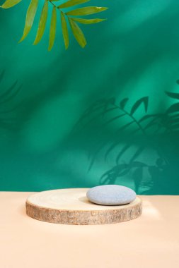 Minimum modern ürün podyumu, ahşap podyum, palmiye yaprakları ve gölge örtülü yeşil arka planda sergilenir