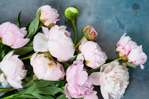Fresh peonies flowers, close up view, summer background
