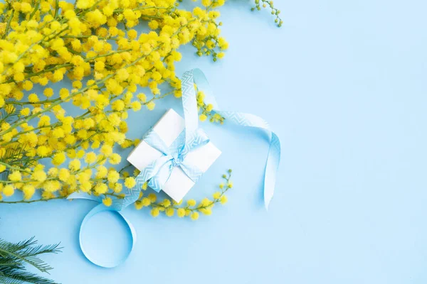Mimosa Żółte Kwiaty Niebieskim Tle Wiosna Marca Tło Dzień Miejsca Obrazy Stockowe bez tantiem