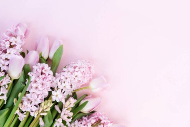Paskalya sahnesinde taze laleler ve sümbül çiçekleri pembe arka planda.