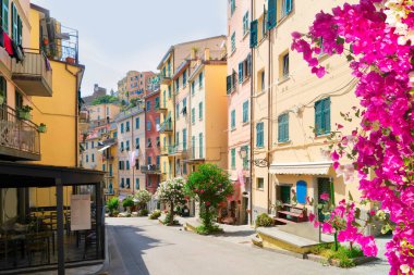 street of Riomaggiore picturesque town of Cinque Terre with flowers, Italy
