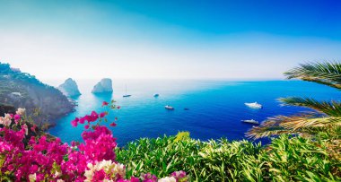 Famous Faraglioni cliffs and Tyrrhenian Sea clear blue water, Capri island, Italy with flowers, web banner format