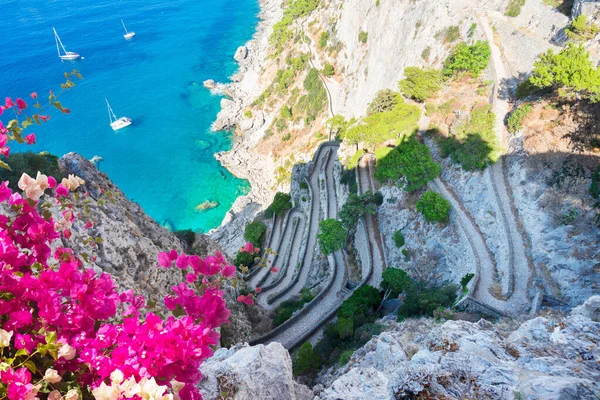 海へのKruppヴィンテージの階段を介して 花とカプリ島 イタリア ロイヤリティフリーのストック画像