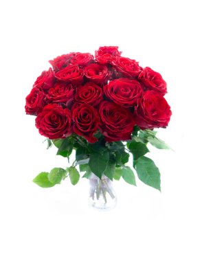 Beyaz arka planda izole vazoda kırmızı gül çiçekleri.