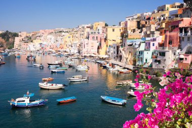 Procida adası rengarenk bir kasaba. Yazın limanı çiçeklerle dolu, İtalya.
